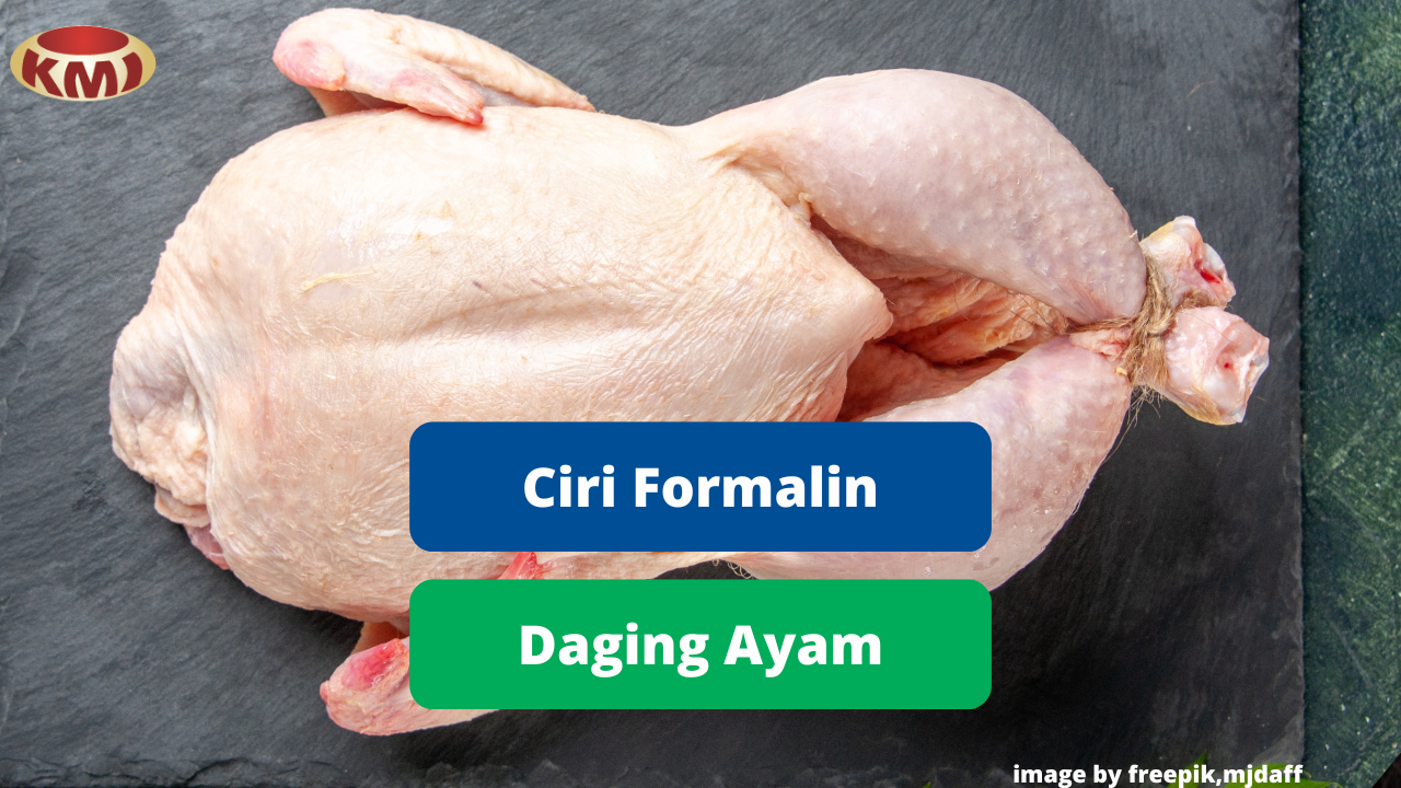 Hindari Daging Ayam Formalin Dengan Ciri Berikut